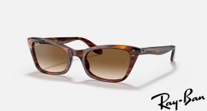Ray Ban Lady Burbank Polished Striped Havana Frame Brown Gradient Lenses Sunglasses