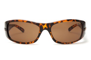 Ray Ban RB2515 Active Lifestyle Tortoise