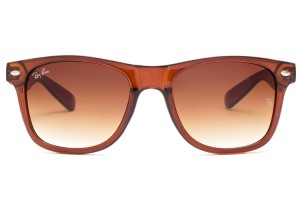 Ray Ban RB8381 Wayfarer Brown