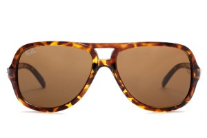 Ray Ban RB4162 Cats 5000 Tortoise
