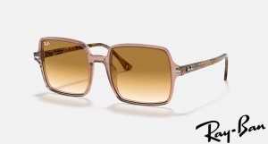 Ray Ban Square II Polished Transparent Brown Frame Light Brown Gradient Lenses Sunglasses